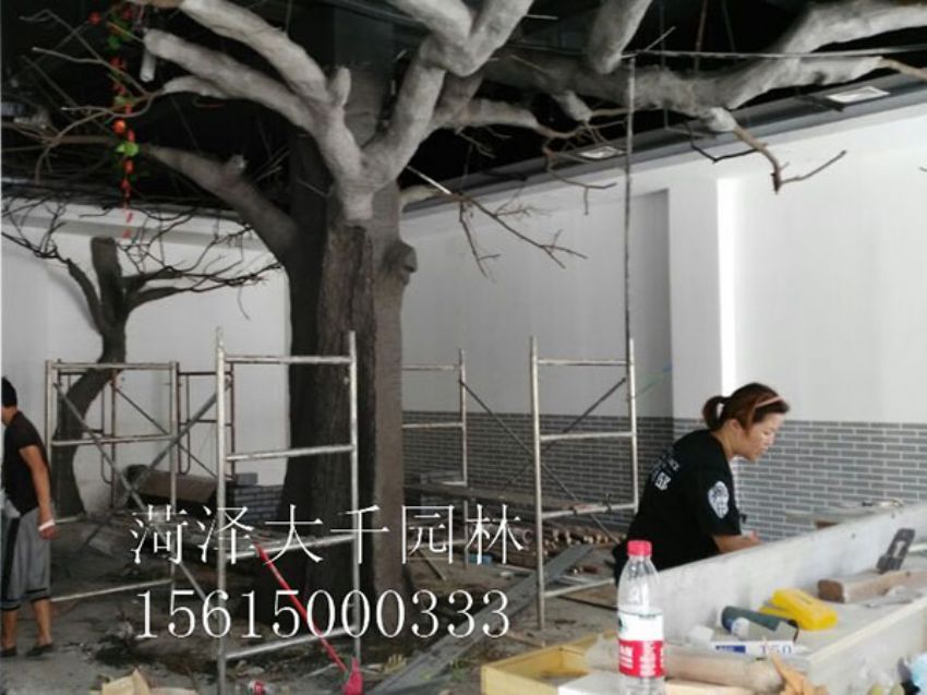 點(diǎn)擊查看詳細(xì)信息<br>標(biāo)題：假樹(shù) 閱讀次數(shù)：1458