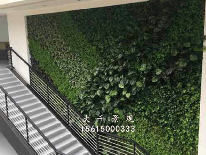 點(diǎn)擊查看詳細(xì)信息<br>標(biāo)題：綠植墻 閱讀次數(shù)：1760