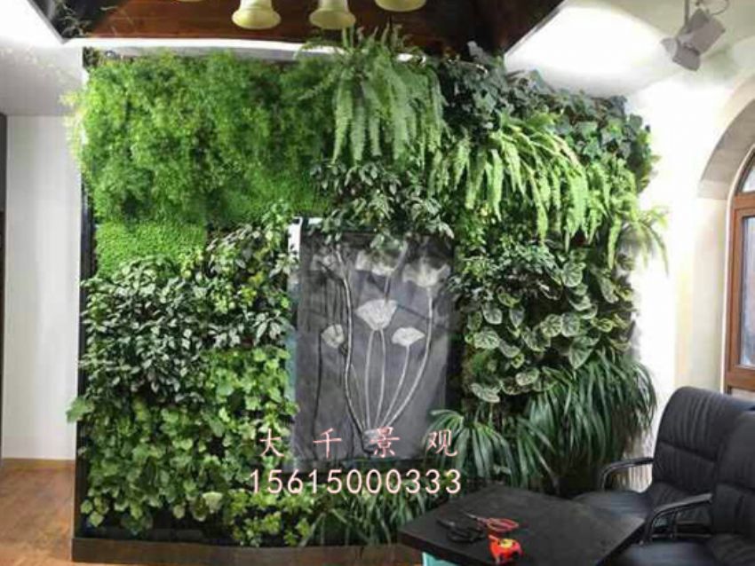 點(diǎn)擊查看詳細(xì)信息<br>標(biāo)題：綠植墻 閱讀次數(shù)：1834