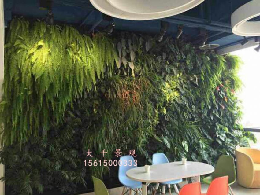 點擊查看詳細信息<br>標題：綠植墻 閱讀次數：2005