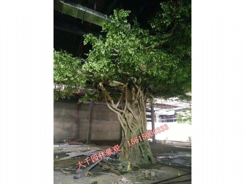 點(diǎn)擊查看詳細(xì)信息<br>標(biāo)題：假樹(shù) 閱讀次數(shù)：2545